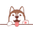 Formula.dog
