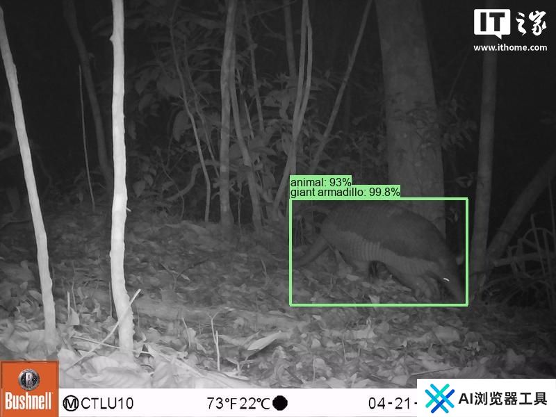 谷歌开源物种识别 AI 模型 SpeciesNet，助力野生动物研究
