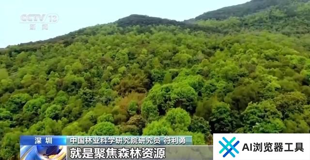 全国人工智能应用场景创新挑战赛结束 13个项目获特等奖